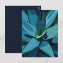 Search for succulent postcards Pattern