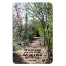 Search for muir woods magnets Nature