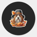 Search for thanksgiving dog stickers Pumpkin