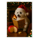 Search for bichon christmas cards Cute