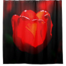 Search for fire flower Red