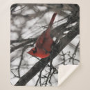Search for red cardinal bird blankets Wildlife