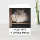 Search for welfare cards Pets
