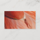 Search for zoo business cards Pink