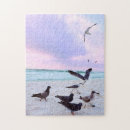 Search for pigeon puzzles Beach