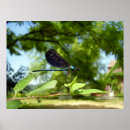 Search for beautiful garden posters Green