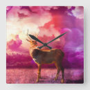 Search for stag clocks Sunrise