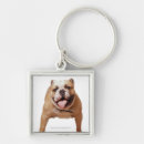 Search for studio shot key rings Looking at camera