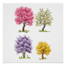 Search for apricot tree posters Trees