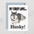 Search for husky dogs postcards Pet