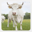 Search for nature scene stickers Animals