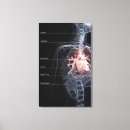 Search for respiratory system posters Body