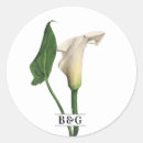 Search for calla lily stickers Botanical