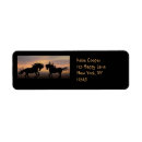 Search for friesian horse return address labels Equine