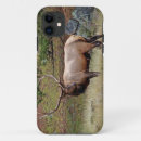 Search for bull elk iphone cases Colorado