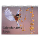 Search for chicks office supplies Birds