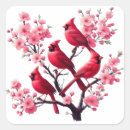 Search for cardinal birds stickers Red cardinal bird