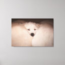 Search for retreivers art Golden retriever