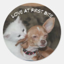 Search for kitty love stickers Pets