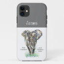 Search for tusks cases Animal