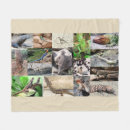 Search for lizard blankets Chameleon