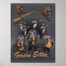 Search for setter posters Gordon