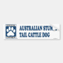 Search for australian cattle dog bumper stickers Pet