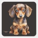 Search for brown dachshund stickers Pet