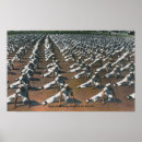 Search for us navy posters View