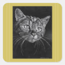 Search for cat scratch stickers Pets