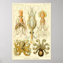 Search for vintage octopus posters Ocean