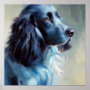 Search for picardy Puppy