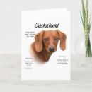 Search for dachshund cards Long haired dachshund