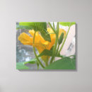 Search for window canvas prints Modern