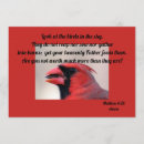 Search for cardinal quotes Nature