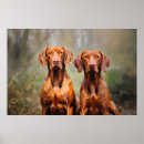 Search for vizsla art Puppy