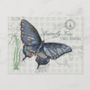 Search for postale postcards Butterfly