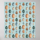 Search for decorative eggs posters Birds