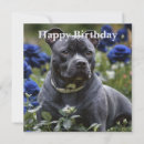 Search for dog rose birthday cards Roses