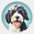 Search for water dog stickers Black and white