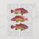 Search for red fish Steampunk