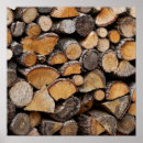 Search for log in fireplace posters Wood