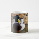 Search for mallard duck mugs Animals