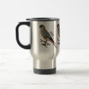 Search for kestrel mugs Falco sparverius
