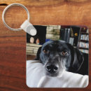 Search for i love my dog key rings Puppy