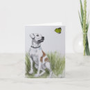 Search for butterfly dog cards Nature