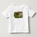 Search for south carolina state tshirts Charleston