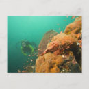 Search for scuba postcards Coral reef