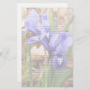 Search for with lines stationery paper Floral writing paper