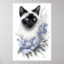 Search for siamese posters Illustration